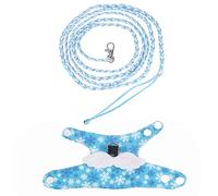 Squirrel Harness and Leash | 2M Lead for Secure Outdoor Walks/Playtime | Cartoon Vest with Soft Padding | Sky Blue/Dark Blue (Light Blue)