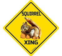 SQUIRREL Xing Crossing Panneau en métal amusant pour bar, club, maison, café, décoration intérieure et extérieure Jaune 30,5 x 30,5 cm