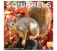 Squirrels 2026 12 X 12 Wall Calendar