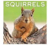 Squirrels 2026 Wall Calendar