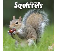 Squirrels Calendar 2026 Square Animal Wall Calendar - 16 Month
