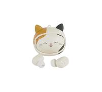 Squishmallows Cam The Cat Écouteurs sans Fil avec étui de Chargement changeant de Visage Bouton Lecture/Pause, Microphone intégré pour Les appels. Portée Bluetooth de 10 mètres, contrôle du Volume.