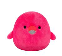 Squishmallows Nounours Cookie