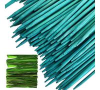 SQXBK Lot de 50 piquets en bois vert pour plantes - 300 mm - Bâtons de support de jardinage pour la fixation de légumes/fruits et décoration de bouquet / festival