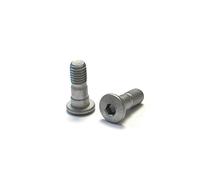 SR Suntour Vis de Serrage 2222060602 Kit Mixte-Adulte, Gris, Taille Unique