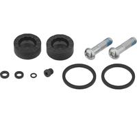 Sram Rival Axs D1 Piston Kit Doré