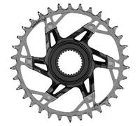 Sram Xx T-type Eagle Bosch Gen4 Dm Chainring Argenté 36t Silver / Black