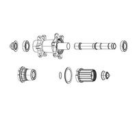 Sram Zipp accessorio kit 6 cricchetti ruota Libera Con Molle mozzo ZR1