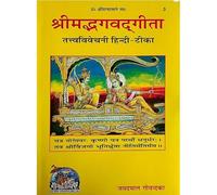 Srimad Bhagavad Gita Tattvavivechani hindi tika book with gari hardool charitr