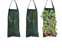 SRJQXH Sacs à Plantes 3 Pièces Sacs de Plantation 10 Trous Respirant Sac Fraise Suspension Verticale pour Fraises, Tomates, Plantes Potagères (Vert Foncé)