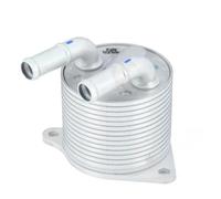 SRKATI Kit De Radiateur De Refroidissemen Refroidisseur d'huile de Transmission Automatique 24148642575 Compatible avec BMW Série 1 et 2 (F52, F45, X1, X2) et Mini (F54, F60) 2016-2023 Oil Cooler