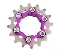 SRKATI Poulie Dentée Roues Libres de VTT A2UF, Volant d'inertie Haute résistance à Vitesse Unique, Cassettes de vélo en Acier à pignon Bloque Volant Moteur(16T)
