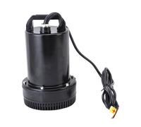Srliya Acier Inoxydable Courant Direct Pompe Submersible 220W 26ft Lift 1 Pouce en Acier Inoxydable Dia pour le Jardin Agricole Irrigation Arrosage Noir