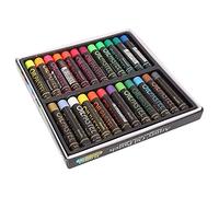 Srliya Ensemble de 24 Pastels à L'huile, Craie Métallique Résistante à la Décoloration pour œuvres D'Art au Pastel à L'huile Mate, Fourniture de Peinture pour Artistes, Bâton de Crayon pour