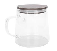 Srliya Poignée Anti-brouillte de café, Conception de Double Couche en Verre Borosilicate élevé, adapté au café, au thé, au Lait, Jus, Transparent, Usure de Chaleur, 3-4cups pour la (300 ml)