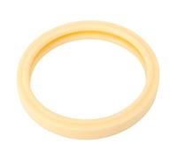 Srliya Pool Lumière Lentille Joint D'étanchéité en Caoutchouc de Remplacement pour 79108500 Abat-Jour 79108600