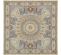 SRTJURFG Tapis de Salon Chambre Design Moderne, Motif Floral Vintage Antidérapant Moelleux Tapis Sol en Bois protecteurs Conception décoration, 110 x 110 cm