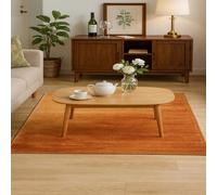 SRTJURFG Tapis Grand Salon 160x230 cm Antidérapant Moelleux Lavable Décoratif pour Chambre Abstract Orange Brown