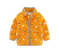 SRTUMEY Tout-petit garçons et filles automne hiver manches longues col dessin animé Shaker veste zippée avec poches tenues quotidiennes enfants manteaux d'hiver filles taille 6 dégagement