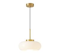 SSBHDM Lustre de style industriel moderne, suspension à une tête avec culot E27, luminaire suspendu en verre créatif et unique, luminaire décoratif pour salon, salle à manger ou couloir