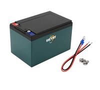 SSCYHT ,12v10ah Green, Batterie LiFePO4 12V 5Ah - 200Ah Batterie Lithium Rechargeable pour sondeurs, éclairage de Secours, Camping-Cars, équipement de Camping et Moteurs de traîne