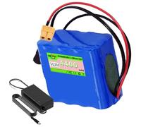 SSCYHT 14,8 V Batteries Lithium 4,4 Ah Batterie de Rechange 4400 mAh Batteries Rechargeables 14,8 V Batterie Li-ION avec Chargeur pour kit Moteur 65 W Max.,14.8v4.4ah xt60