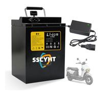 SSCYHT 48v25ah, Batterie Lithium-ION 48 V 15 Ah 20 Ah 25 Ah pour Scooter, vélo et Moteur de cyclomoteur ou Tricycle de 250 W, 500 W, 750 W, 1000 W ou 1200 W.