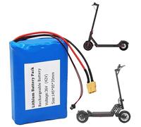 SSCYHT Batterie au Lithium 10S2P Batterie Trottinette électrique 36 V Batteries pour Hoverboard Batteries Rechargeables pour Skateboard électrique avec Ports SM + XT60 et BMS,36v10ah