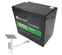 SSCYHT Batterie au Lithium 12,8 V 50 Ah Batterie LiFePO4 12,8 V Batteries de Remplacement Batteries solaires pour Alimentation Secours avec BMS pour Moteur 250 W - 650 W,12.8v50ah 1pack