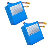 SSCYHT Batterie au Lithium 43,2 V 5 Ah Batterie Skateboard 43,2 V Batteries Li-ION 5 Ah Batteries trottinettes pour 2S Pro, 2S Max, 3X et 3E pour Moteur 50 W - 216 W,43.2v5ah 2pack