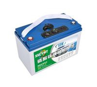 SSCYHT Batterie au Lithium Fer Phosphate 12,8V 100Ah Batterie Remplacement 12V/5V LiFePO4 pour systèmes solaires photovoltaïques, Stockage d'énergie, Camping-Cars et caravanes