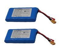 SSCYHT Batterie de Remplacement 25,2 V Batterie Lithium 5 Ah 4 Ah Batteries Hoverboard 25,2 V Batteries Li-ION avec Ports JST et XT60 pour kit Moteur 50 W - 150 W,25.2v4ah 2pack