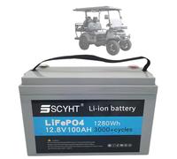 SSCYHT Batterie LiFePO4 12,8 V 100 Ah Batterie au Lithium 12,8 V Batteries solaires Batteries Rechargeables pour Alimentation de Secours pour Moteurs 250 W à 1 300 W avec BMS