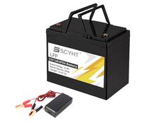 SSCYHT Batterie LiFePO4 12 V 100 Ah 50 Ah Batterie Lithium 12 V Batteries Rechargeables pour énergie Solaire pour Moteurs 500 W à 1200 W avec Chargeur et poignée,12v50ah 196mm