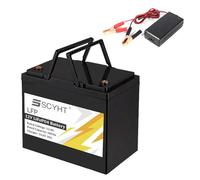 SSCYHT Batterie LiFePO4 12 V 100 Ah 50 Ah Batterie Lithium 12 V Batteries Rechargeables pour énergie Solaire pour Moteurs 500 W à 1200 W avec Chargeur et poignée,12v100ah 307mm