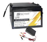 SSCYHT Batterie LiFePO4 12 V 100 Ah Batterie à décharge Profonde 12 V Batteries Rechargeables 100 Ah Batteries Lithium pour Camping-Cars pour Moteur 500 W à 1200 W avec Chargeur