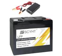 SSCYHT Batterie LiFePO4 12 V 30 Ah Batterie Lithium 12 V Batteries Rechargeables 30 Ah Batteries à décharge Profonde avec Chargeur et poignée pour Moteur 200 W - 360 W,12v30ah 1pack