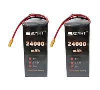SSCYHT Batterie Lipo 6S 22,2 V 16 000 mAh 30 000 mAh 40 000 mAh Batterie Rechargeable 22,2 V Batteries Lithium pour Drones pour Moteurs 50 W à 888 W avec Port XT90-S,22.2v24000mah 2pack