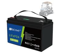 SSCYHT Batterie Lithium 12,8 V 100 Ah Batterie LiFePO4 12,8 V Batterie à décharge Profonde 100 Ah Batteries de Rechange pour Camping-Car Solaire pour Moteur 500 W - 1280 W