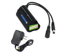 SSCYHT Batterie Lithium 12 V 3 Ah Batterie Remplacement 3000 mAh Batteries Rechargeables 12 V Batteries Li-ION pour Moteurs 36 W Max. pour Audio Mobile avec Chargeur,12v3000mah 1pack