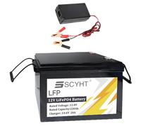 SSCYHT Batterie Lithium 12 V Batterie LiFePO4 220 Ah Batteries à décharge Profonde 12 V Batteries Rechange pour Camping-Car avec Chargeur et poignée pour Moteur 500 W - 2400 W