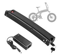 SSCYHT Batterie Lithium 24 V 12,8 Ah 14 Ah Batterie de Rechange 36 V 7,8 Ah 8,7 Ah 9,6 Ah 10,5 Ah Batteries Li-ION pour kit Moteur 250 W - 400 W avec Chargeur et Port 2 Ports,24v11.6ah
