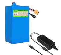 SSCYHT Batterie Lithium 24 V 40 Ah Batterie Rechargeable 24 V Batteries pour Trottinette électrique 40 Ah Batteries Li-ION pour Moteur 200 W - 1000 W avec Chargeur,24v40ah xt60
