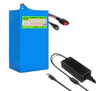 SSCYHT Batterie Lithium 24 V 40 Ah Batterie Rechargeable 24 V Batteries pour Trottinette électrique 40 Ah Batteries Li-ION pour Moteur 200 W - 1000 W avec Chargeur,24v40ah Anderson