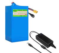 SSCYHT Batterie Lithium 24 V 40 Ah Batterie Rechargeable 24 V Batteries pour Trottinette électrique 40 Ah Batteries Li-ION pour Moteur 200 W - 1000 W avec Chargeur,24v40ah xt90