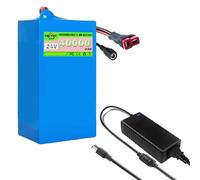 SSCYHT Batterie Lithium 24 V 40 Ah Batterie Rechargeable 24 V Batteries pour Trottinette électrique 40 Ah Batteries Li-ION pour Moteur 200 W - 1000 W avec Chargeur,24v40ah t Plug