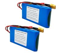 SSCYHT Batterie Lithium 24 V 8 Ah Batterie Rechargeable 8 Ah Batteries vélos électriques 24 V Batteries trottinettes électriques avec Ports JST pour Moteur Moins 150 W,24v8ah 2pack