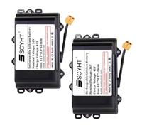 SSCYHT Batterie Lithium 36 V 2 Ah 3 Ah Batterie Rechargeable 36 V Batteries pour Hoverboard 10 S Batteries Li-ION avec Port XT60 pour Moteurs de 25 W à 110 W,36v2ah 2pack