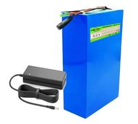 SSCYHT Batterie Lithium 48 V 20 Ah Batterie Amovible 48 V Batteries trottinettes électriques 20 Ah Batteries Rechange pour Moteurs 250 W à 1000 W avec Chargeur,48v20ah Bullet