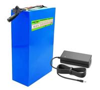 SSCYHT Batterie Lithium 48 V 20 Ah Batterie Amovible 48 V Batteries trottinettes électriques 20 Ah Batteries Rechange pour Moteurs 250 W à 1000 W avec Chargeur,48v20ah Character 3pins